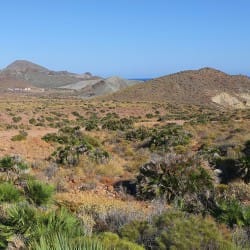 El parque natural Cabo de Gata